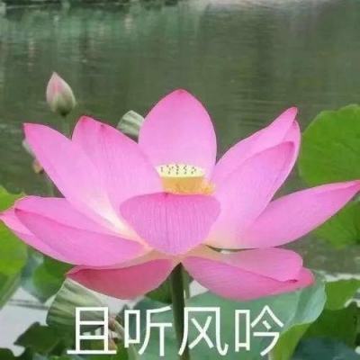 河南虞城：经连续7年在春节期间举办“饺子宴”爱心活动